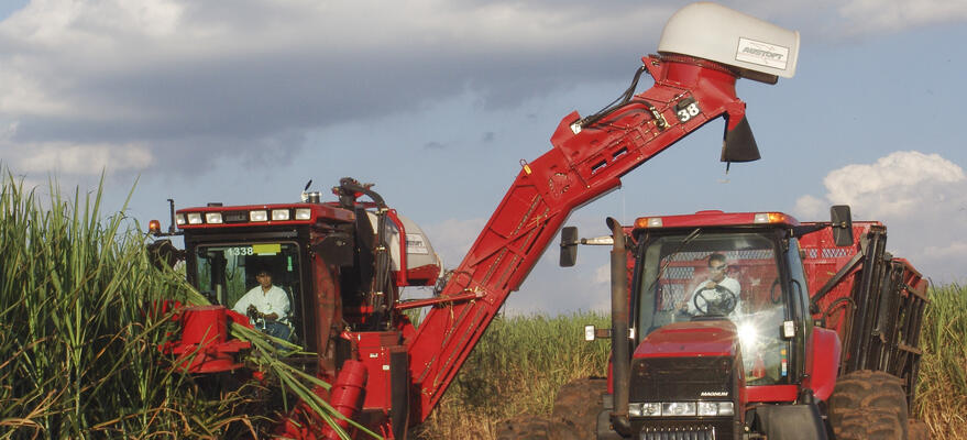 Tracteurs dans un champs de canne à sucre